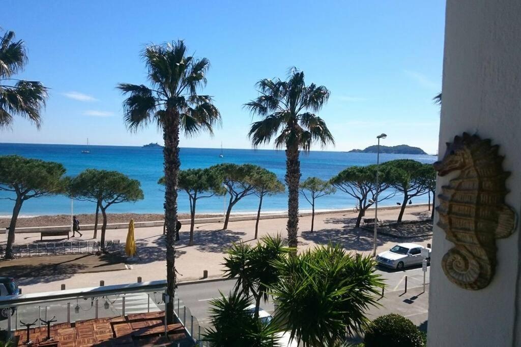לה קיוטאט T3 Sur La Plage Vue Feerique Mer,Wifi, Parking Inclus , Clim מראה חיצוני תמונה